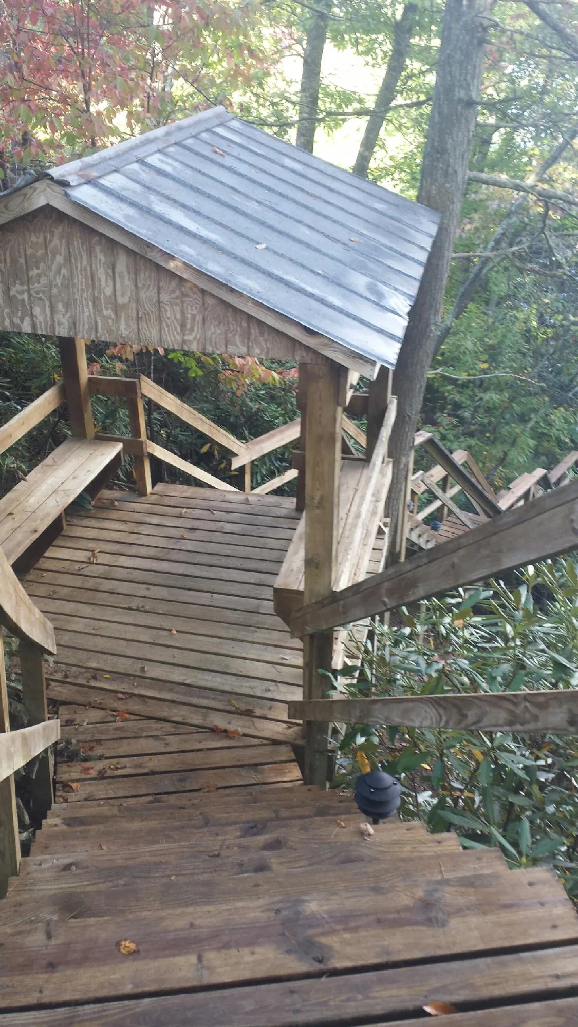 Metal roofed shelter over wooden steps on a wooded walkway — Skylight Repair & Installation work by our crew in Wagener